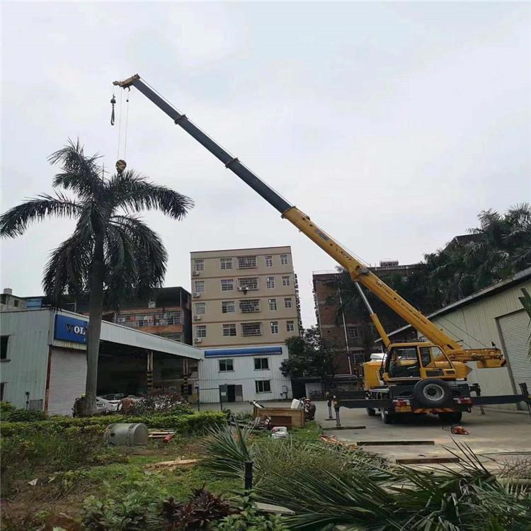 柳城吊车吊大树几种方法